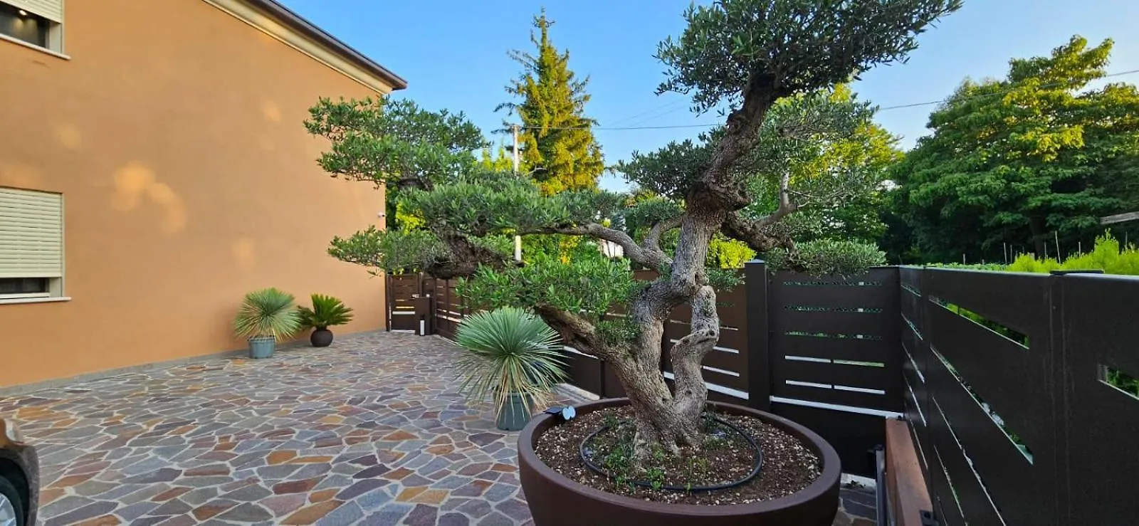 Locazione La Scacchiera Apartman Padova